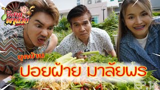 อีสานพาสวบ EP14 อีสานพาสวบ ปะทะ ปอยฝ้าย มาลัยพร [upl. by Retsev282]