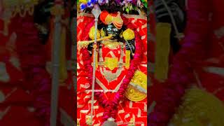 charbhujanath shyam krishna love hindu radheradhe rawatbhata reels video sorts temple [upl. by Puritan]