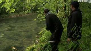 Pêche de la truites aux leurres dans lAin sur lAlbarine [upl. by Eteragram]