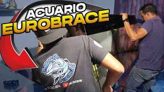 Modificando un Acuario de agua dulce con Lixa Peceras Eurobrace vs Marco Aleman [upl. by Scever637]