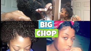 I CHOPPED OFF MY HAIR  MY BIG CHOP 2017 [upl. by Gavin]