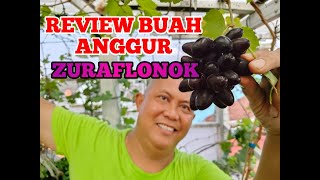 REVIEW BUAH ANGGUR VARIETAS ZURAFLONOK amp KUPIDON ZURAFLONOK tipsandtricks review kaij kupidon [upl. by Mitzi669]