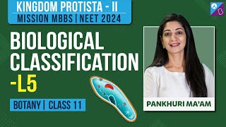 Kingdom Protista II Class 11 Biology  Biological Classification Concepts L 5  NEET 2024 Exam [upl. by Yenittirb]