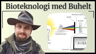 Bioteknologi  mikrobiel vækst [upl. by Artenra]