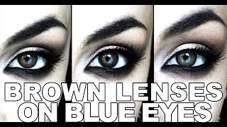 BROWN EYE CONTACTS ON BLUE EYES ♥ 3 SHADES ♥ FRESHLOOK COLORBLENDS [upl. by Anilev]