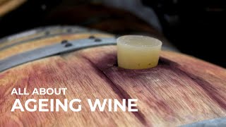 How does wine age and why does it matter [upl. by Hendren810]