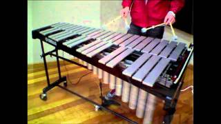 Vibraphone Techniques [upl. by Presber]