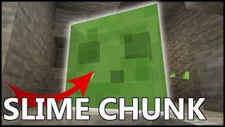 How To Find A SLIME CHUNK In Minecraft [upl. by Adekahs483]