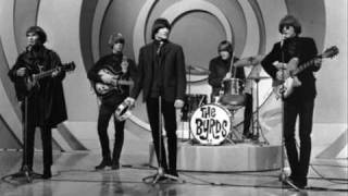 The Byrds  Hey Joe 1966 [upl. by Huberto]