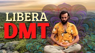 Respiración para Inducir DMT Natural  Pranayama Avanzado  Meditación para Abrir el Tercer Ojo👁️ [upl. by Killy787]