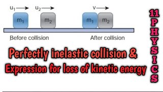 Perfect inelastic collision  Loss of kinetic energy  11 Physics Samacheer kalvi [upl. by Tabib423]