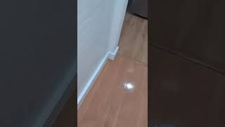 instalação piso laminado Eucafloor prime cor Carvalho [upl. by Laynad]