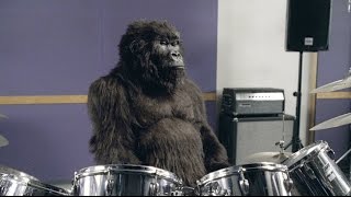 Cadburys Gorilla Advert  Parody [upl. by Oriel]