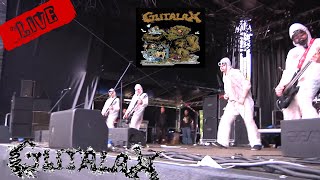 GUTALAX Live 2019 At Extremfest  Germany Grindcore Extrem [upl. by Lleuqram]