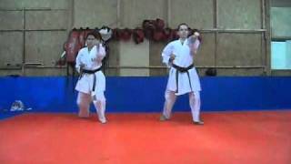 Programação de Exame  Kihon 2º e 3º Kyu Goju Ryu Seigokan [upl. by Henig]