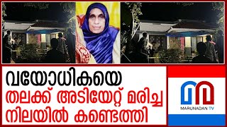 വയോധിക തലക്ക് അടിയേറ്റ് മരിച്ചു I adimalai [upl. by Eyaf]