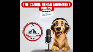 Exploring Canine Rehab Modalities Audio Only [upl. by Esyahc]