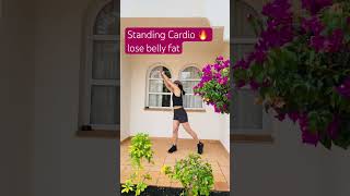 Arm Waist and Belly Burn 🔥All Standing Cardio workout loseweight shortsvideo trendingshorts [upl. by Petta]