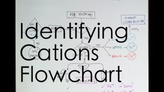 Flowchart for Identifying Cations [upl. by Hedgcock886]