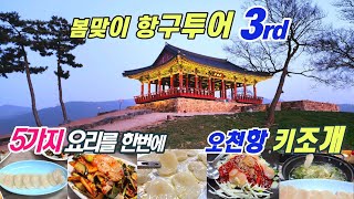 ☆국내 키조개 최대산지 오천항에서 맛본 5가지 코스요리 찐 리뷰 봄 맞이 당일치기코스 강추 [upl. by Kurman]