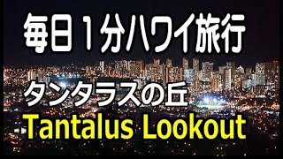 【4K】毎日1分ハワイ旅行 タンタラスの丘・夜景 Tantalus Lookout Honolulu Hawaii [upl. by Azilem]