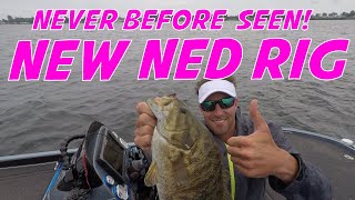 How to use a Ned Rig  How to fish a Ned Rig and catch a lot of fish on the Ned Rig [upl. by Edylc]