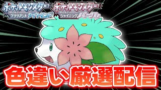 【ポケモンBDSP】色違いのシェイミと徘徊エンテイ、ライコウを求めて！2【生配信】 [upl. by Eceirahs]