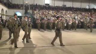 Falla Fuerzas Armadas y Guardia Civil 2014 [upl. by Etnom781]