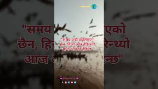 quotसमय अझै बद्लिएको छैन हिजो जात हेरिन्थ्यो आज औकात हेरिन्छquot [upl. by Reyna718]