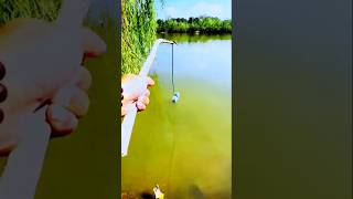 Best hook fishing fishing fish [upl. by Ttekcirc571]