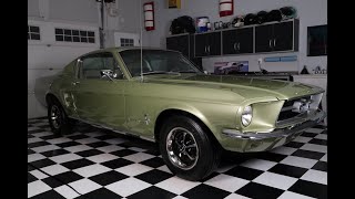 1967 Mustang Fastback CCode Lime Gold For Sale [upl. by Rich377]