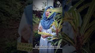 KOLUSU KETTIYA SUVARNA SUNDARI cover song by Farshana Shareef [upl. by Papst98]