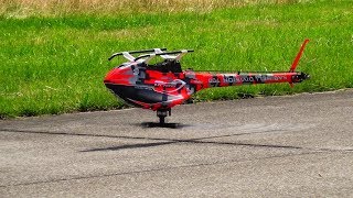 TAREQ ALSAADI GOBLIN KRAKEN 3D RC HELICOPTER SWISS HELI CHALLENGE 2019 [upl. by Portie]