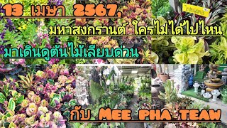 ตลาดต้นไม้ เลียบด่วนเอกมัย รามอินทรา ในวันหยุดสงกรานต์ Mee pha teaw [upl. by Alleunamme]