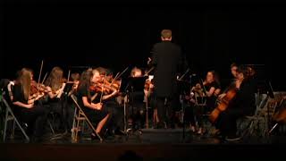 MCPS Spring Concerts 2018 Sentinel Orchestra p5 [upl. by Salome]