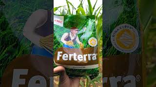 farming Ferterra tmie🌽🌽 [upl. by Icnarf]