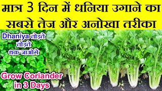 सिर्फ 3 दिन मे धनिया उगाने का बिल्कुल नया तरीका3 din me dhaniya kaise ugayeGrow Coriander in 3 day [upl. by Lorelle]