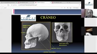 CURSO TALLER  EN CIENCIAS FORENSE IDENTIFICACIÓN A TRAVÉS DE LA ANTROPOLOGÍA FORENSE [upl. by Arsi]