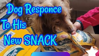 Unboxing amp Pedigree Dog FoodSnack Product Review [upl. by Vincenz881]