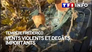 Tempête Frederico  vents violents et dégâts importants [upl. by Lander]