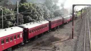 Daffodil Express Ja 1271 Steam train 9 Sep 2012 Lower Hutt NZ [upl. by Lorusso]