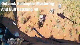 Outback Helicopter Mustering and Bull Catching Northern Territory 40 [upl. by Swaine587]