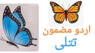 Urdu Essay Titli urdu mazmoon titli 10 lines on butterfly butterfly Essay [upl. by Adneral]