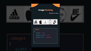 How to Resize Images in CSS for Responsive Design  css shorts responsivedesign coding tips [upl. by Christean615]