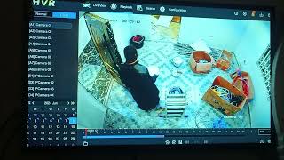 How to do Security Camera playback on your DVR [upl. by Frazier]