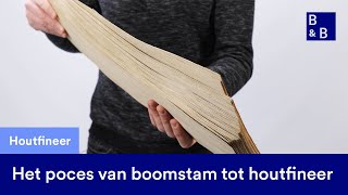 Het productieproces van houtfineer uitgelegd van boomstam tot plaat [upl. by Ragse]