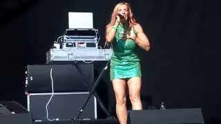 Lindy Layton performs Dub Be Good To To Me live  Penn Festival 2014 [upl. by Ariamat]