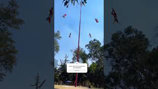 ¿Conoces a los voladores de Papantla Un grupo de danzantes totonacas PapantlaCDMXvoladoresguia [upl. by Safier]