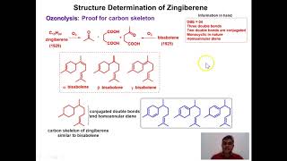 Lecture 8 Zingiberene [upl. by Gow]