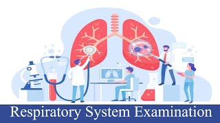 Resp System Examination [upl. by Chaworth975]